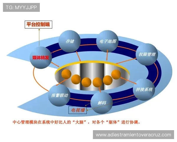 利用完美视讯网站丰富的社区互动功能，增强用户之间的交流与分享影视心得