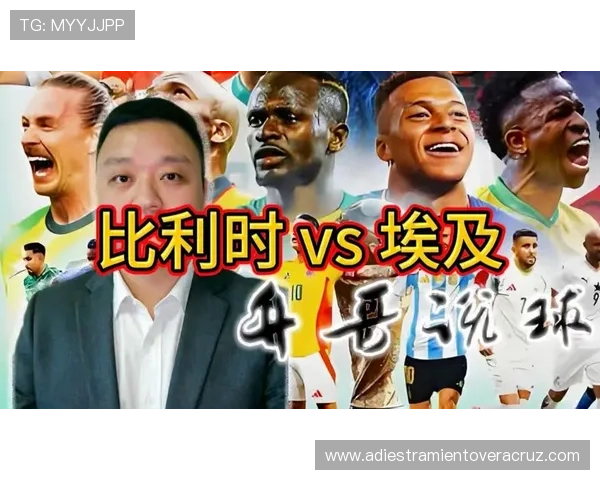 2026年世界杯比利时VS埃及比赛场馆容量介绍及其对球迷观赛体验的影响